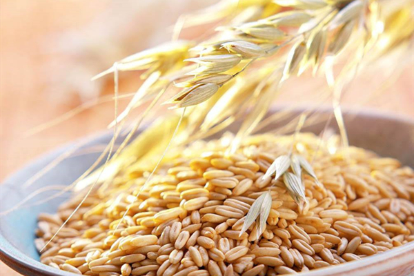 标准光源箱检定燕麦色产品质量