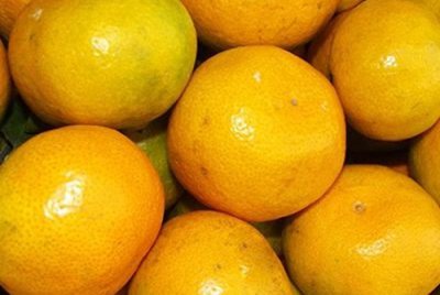 标准光源箱检定橘子的颜色